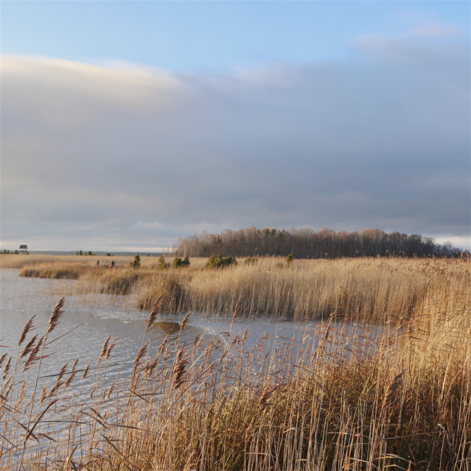 SUSTAINABILITY 4 Group 49997